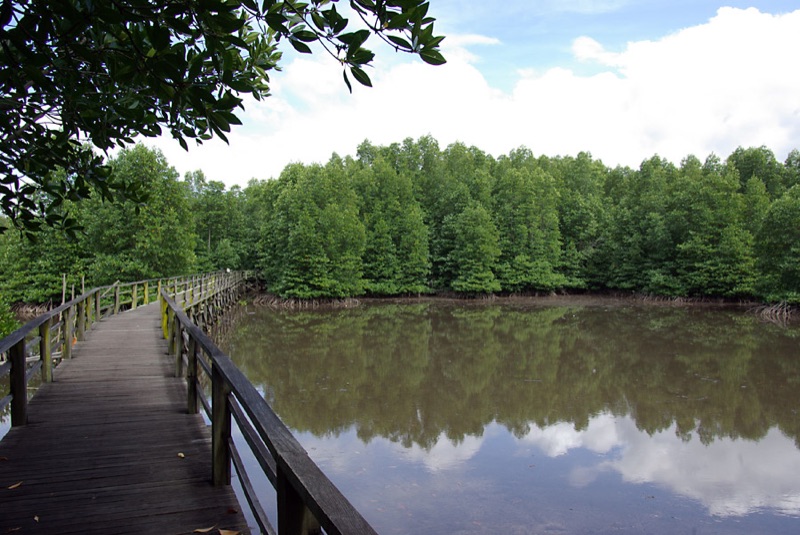 Kota Kinabalu Wetland (Ramsar Site)